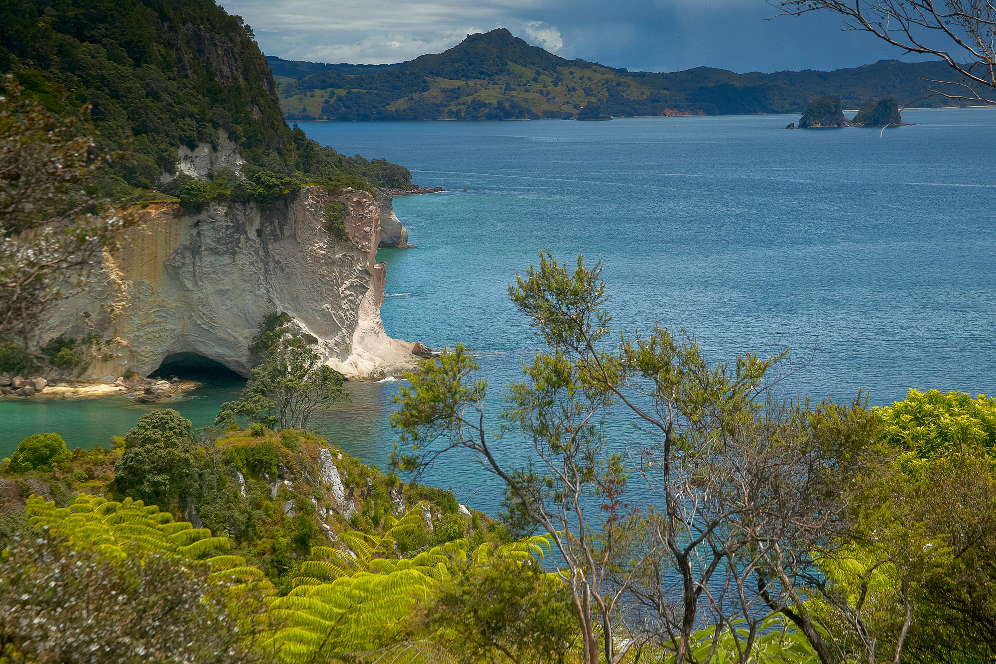 Coromandel Halbinsel